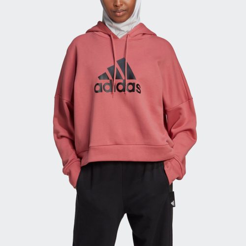 adidas Performance Sweatshirt FUTURE ICONS BADGE OF SPORT HOODIE