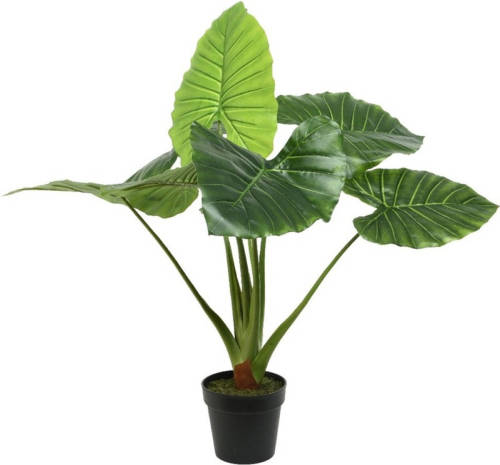Shoppartners Groene Colocasia/taro Kunstplant 90 Cm In Zwarte Pot - Kunstplanten
