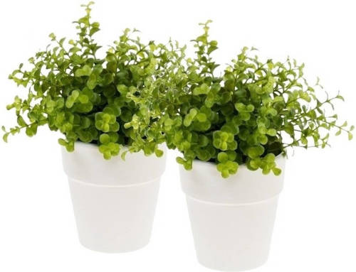 Shoppartners 2x Kunstplant Eucalyptus Groen In Witte Pot 22 Cm - Kunstplanten