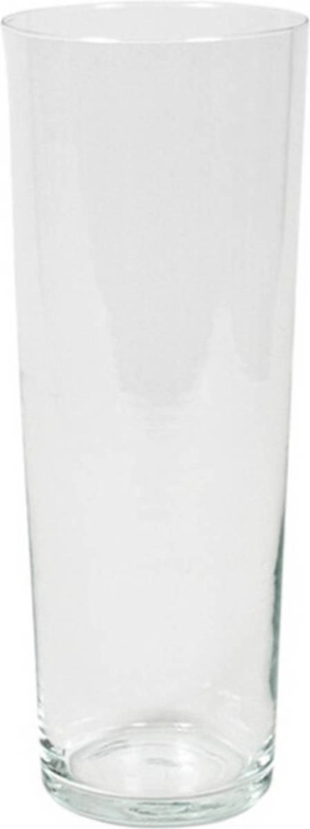 Gerim Bloemenvaas/vazen Van Transparant Glas 40 X 15 Cm - Vazen