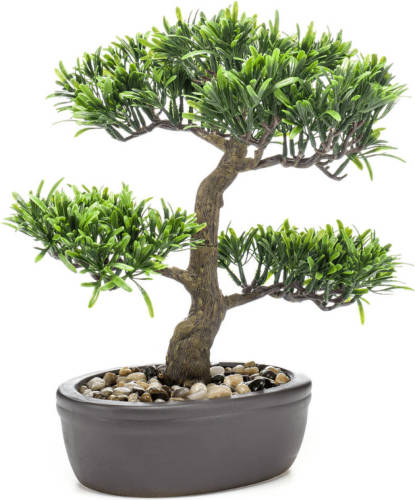 PrettyPlants Bonsai Podocarpus Kunstplant 32cm