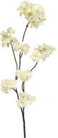 Warentuin Prunus Malaga Spray 84 Cm Kunsttak Nova Nature