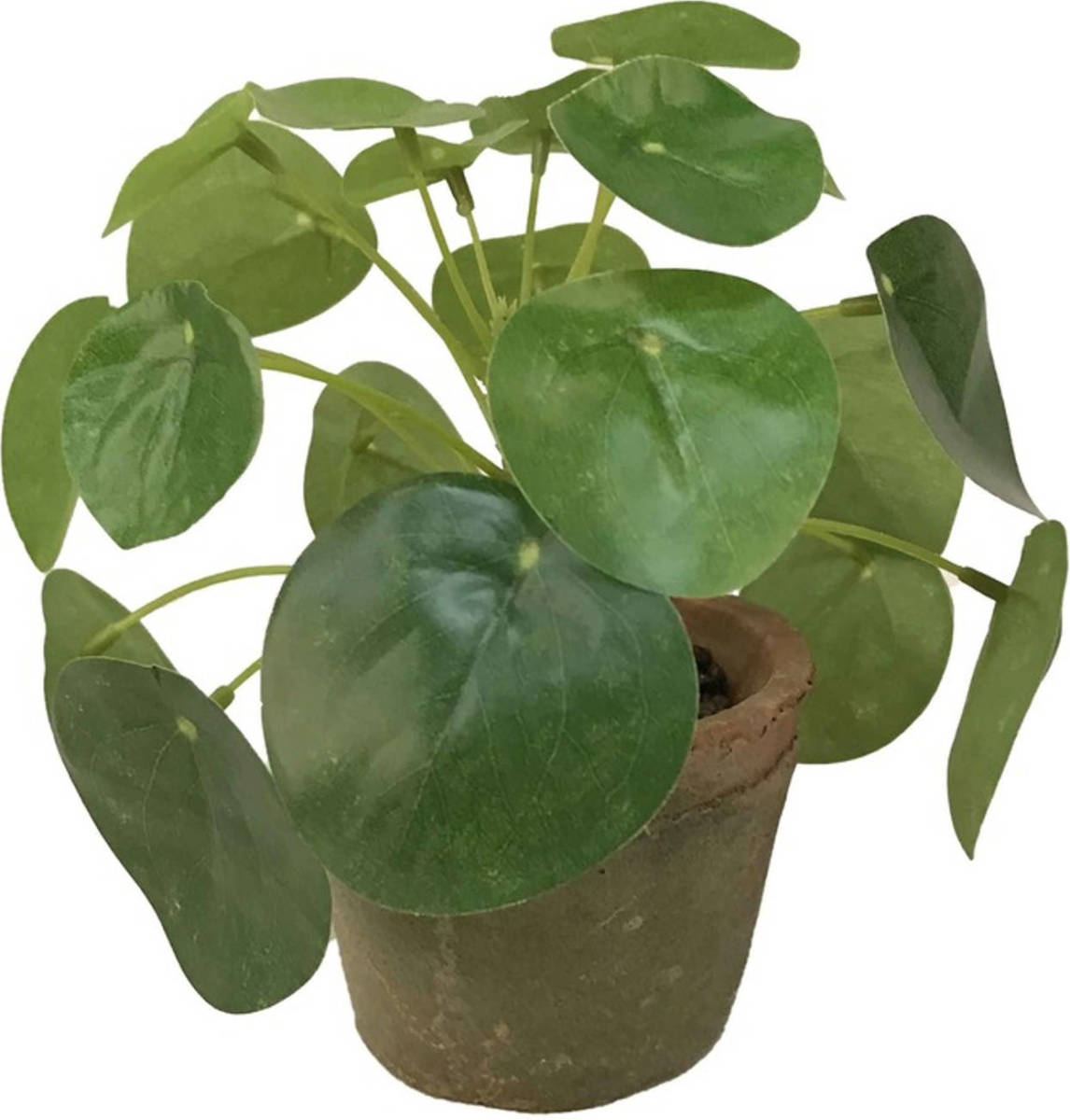 Shoppartners Kantoor Kunstplant Pilea Groen In Pot 13 Cm - Kunstplanten