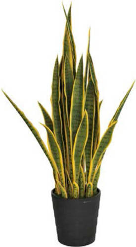 Intergard Kunstplanten Sansevieria Vrouwentong 105cm Bicolor