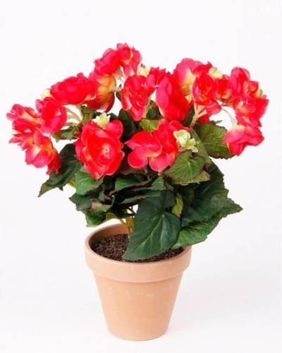 Shoppartners Kunstplant Begonia Roze 30 Cm - Kunstplanten