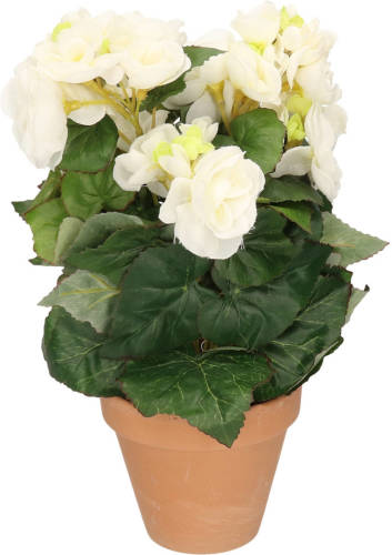 Shoppartners Kunstplanten Begonia In Pot Wit 30 Cm - Kunstplanten