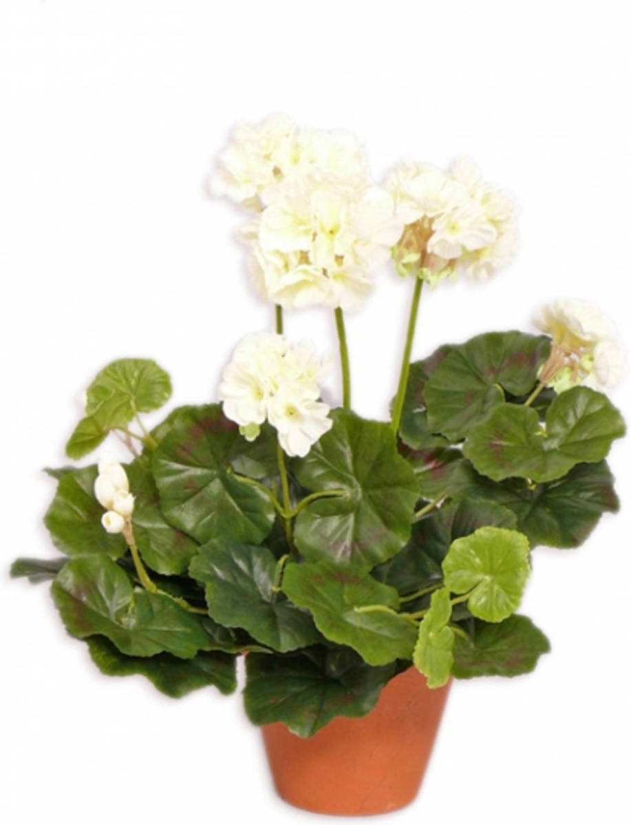 Shoppartners Kunstplant Geranium Wit 30 Cm - Kunstplanten