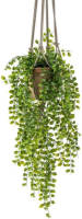 Shoppartners Kunst Hangplant Ficus In Pot Met Touwen 16 Cm - Kunstplanten