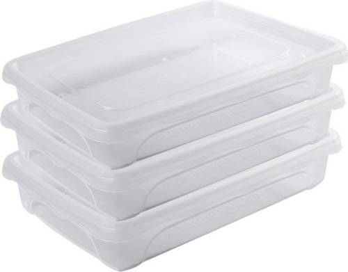 Hega Hogar 3x Voedsel Plastic Bewaarbakje Laag 0,5 Liter Transparant 18 X 12 X 4 Cm - Vershoudbakjes