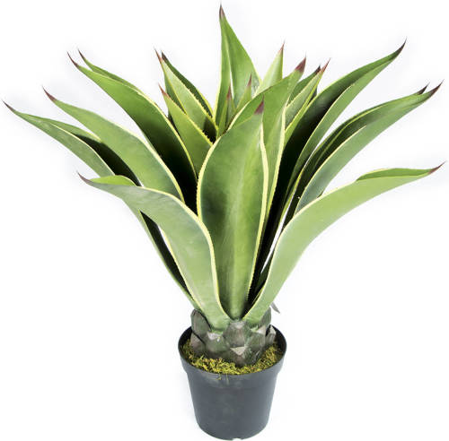 Intergard Kunstplanten Agave 98cm