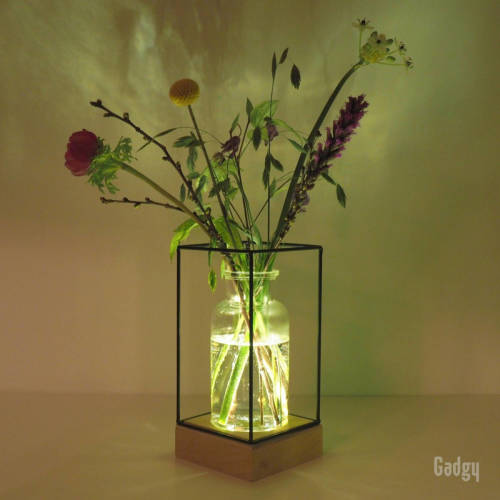 Gadgy Vaas Met Led Verlichting - Vaaslamp - Glazen Vaas Met Lamp - Hydroponie - Werkt Op Batterijen - Tafellamp - Ø11 Cm