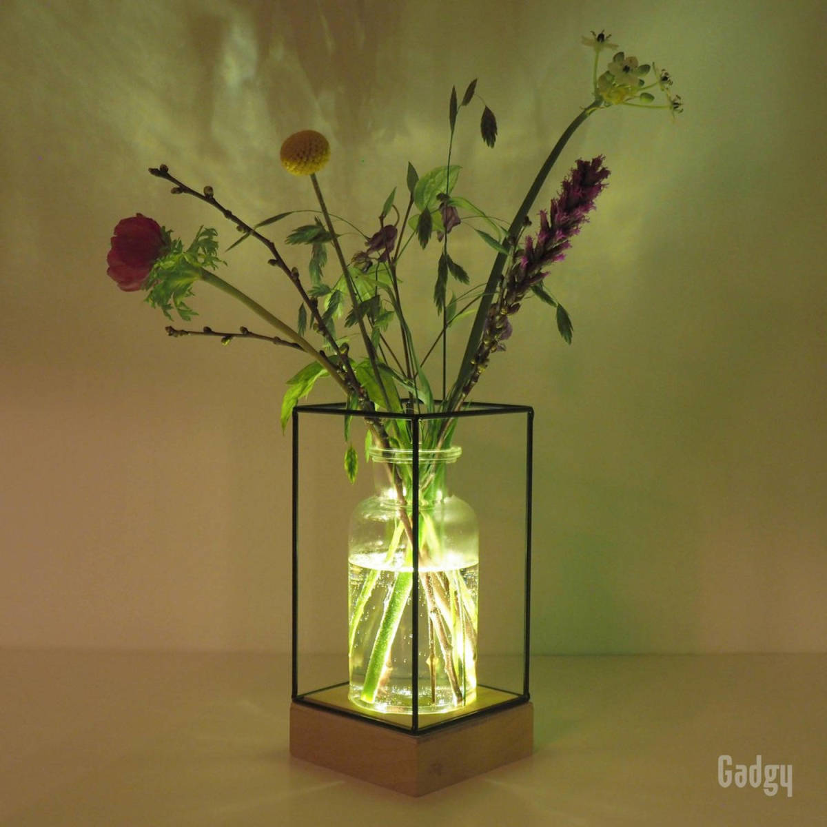 Gadgy Vaas Met Led Verlichting - Vaaslamp - Glazen Vaas Met Lamp - Hydroponie - Werkt Op Batterijen - Tafellamp - Ø11 Cm