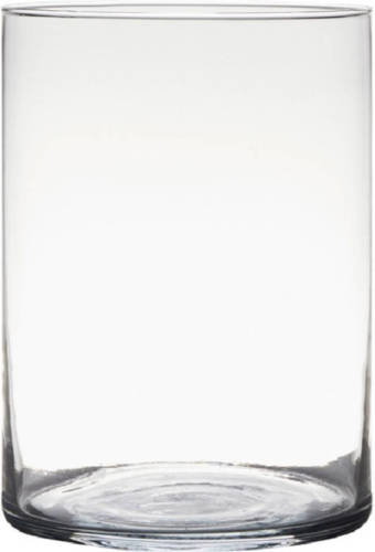 Hakbijl Glass Transparante Home-basics Cylinder Vorm Vaas/vazen Van Glas 25 X 18 Cm - Vazen