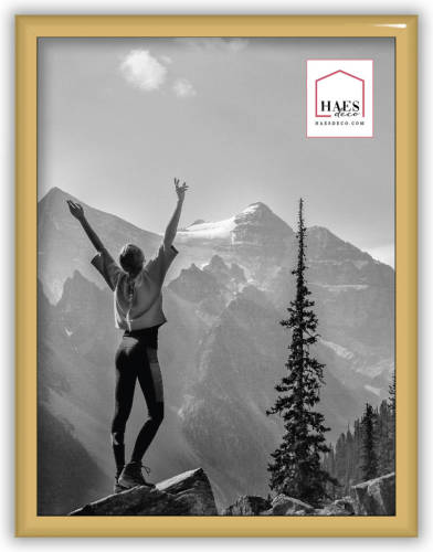 HAES deco - Kunststof Fotolijst 15x20 Goud Easy Frame - Ef3g