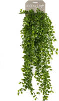 Driesprong Collection Hangplant Op Steker 6