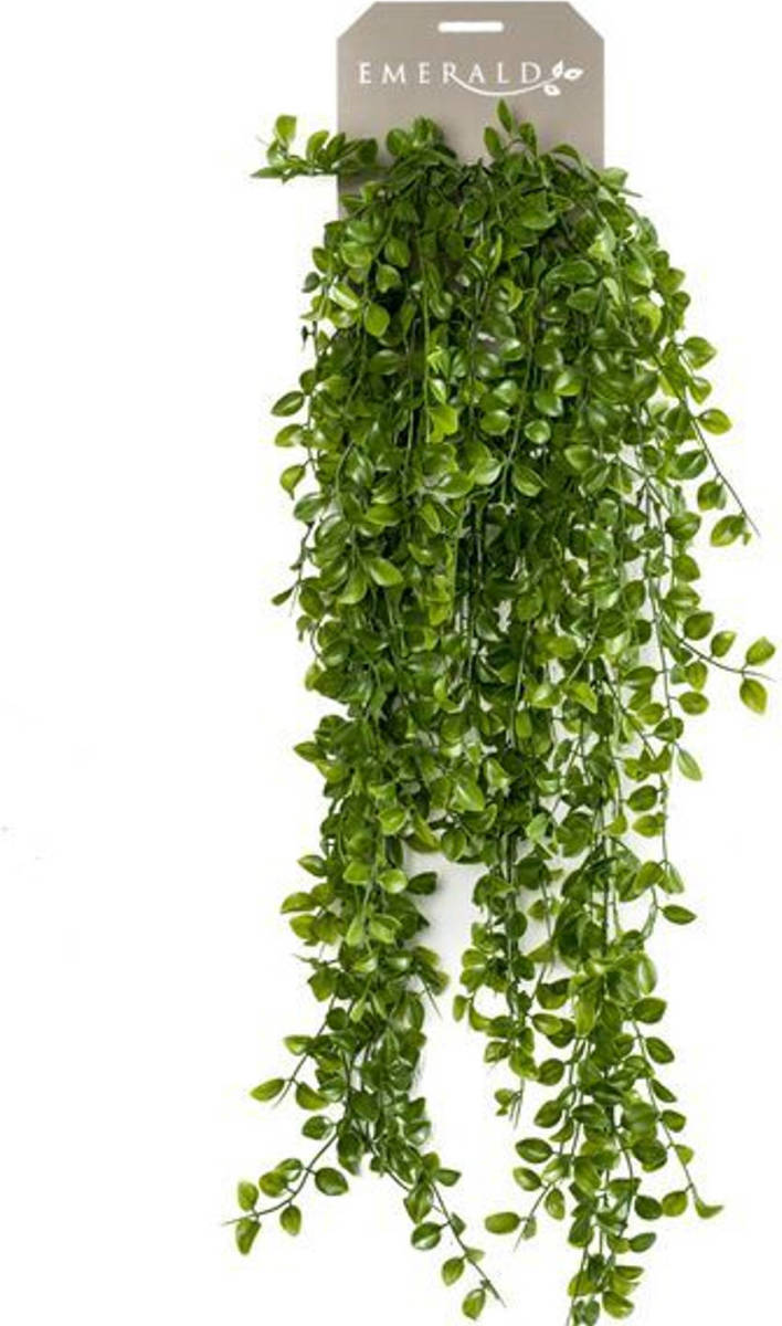 Driesprong Collection Hangplant Op Steker 6