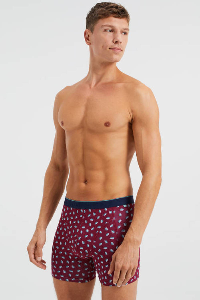 WE Fashion boxershort donkerrood