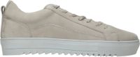 DSTRCT Sneaker Heren Grijs