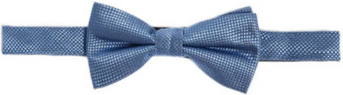 WE Fashion vlinderstrik met textuur blauw