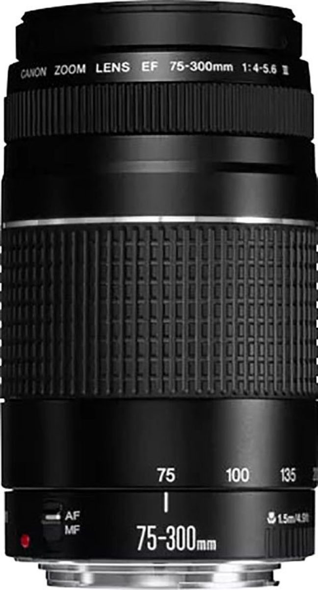 Canon Objectief EF 75-300mm f4-5.6 III
