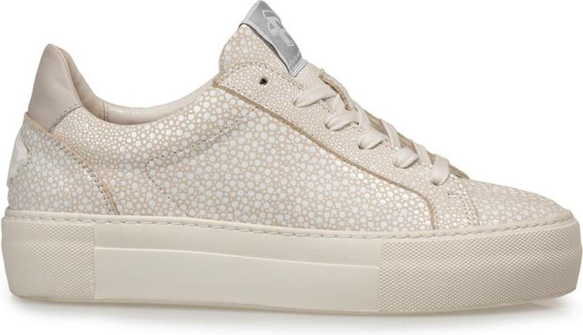 Floris van bommel SFW-10059