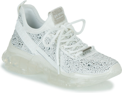 Lage Sneakers Steve Madden  MAXIMA-R