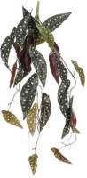 Mica Decorations kunstplant Begonia
