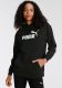 Puma Hoodie ESS Elongated Logo Hoodie TR