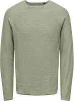 ONLY & SONS Trui met ronde hals DEXTOR WASH RAGLAN KNIT