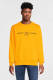 Tommy hilfiger sweater met logo zew solstice