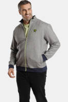 Charles Colby +FIT Collectie gemêleerd sweatvest DUKE QUINNS Plus Size lichtgrijs