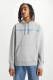 Levi's hoodie met logo grey's