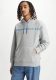 Levi's hoodie met logo grey's