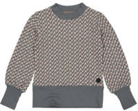 LEVV longsleeve met all over print grijs