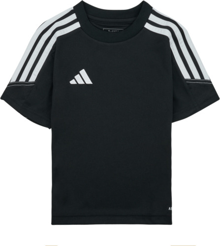 T-shirt Korte Mouw adidas  TIRO23 CBTRJSYY