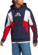 adidas Sportswear Sweatshirt ESSENTIALS COLORBLOCK HOODIE