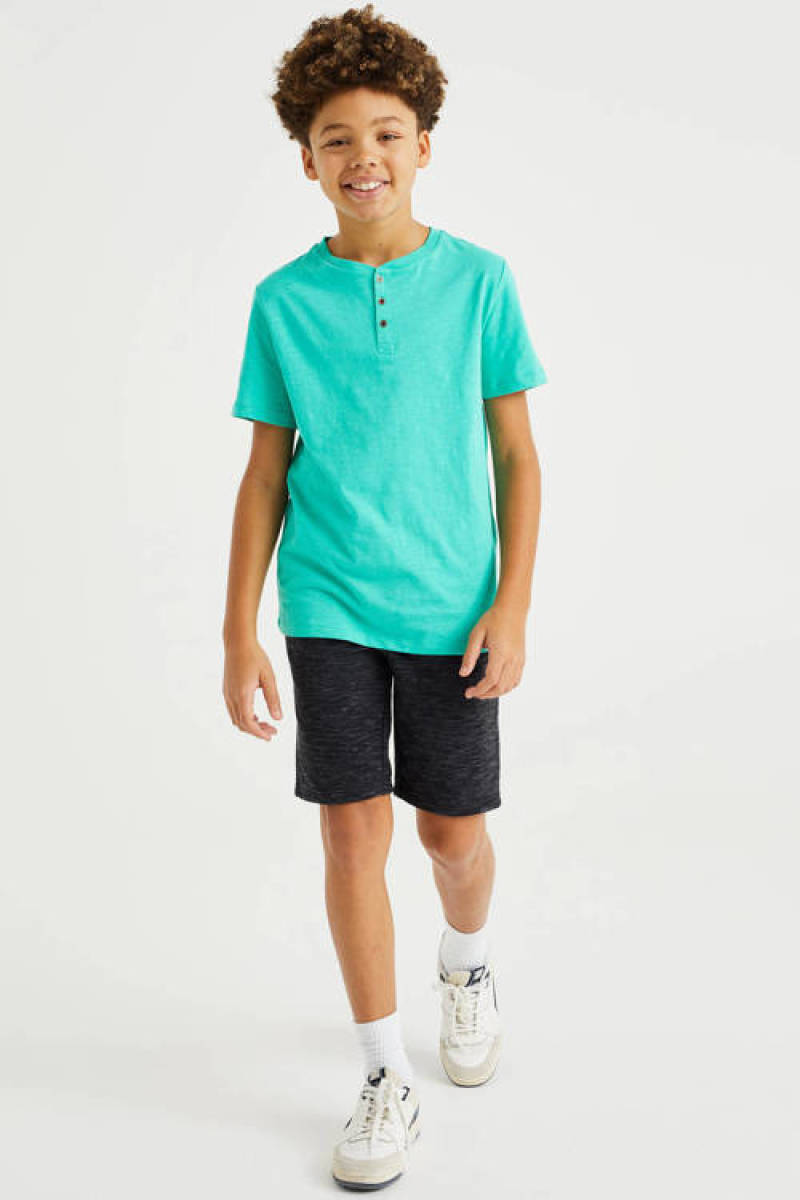 WE Fashion T-shirt van biologisch katoen turquoise