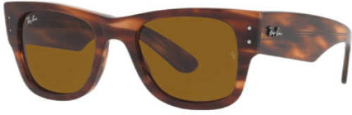 Ray-Ban zonnebril 0RB0840S met tortoise print bruin