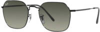 Ray-Ban zonnebril 0RB3694 zwart