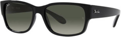 Ray-Ban zonnebril 0RB4388 zwart