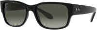 Ray-Ban zonnebril 0RB4388 zwart