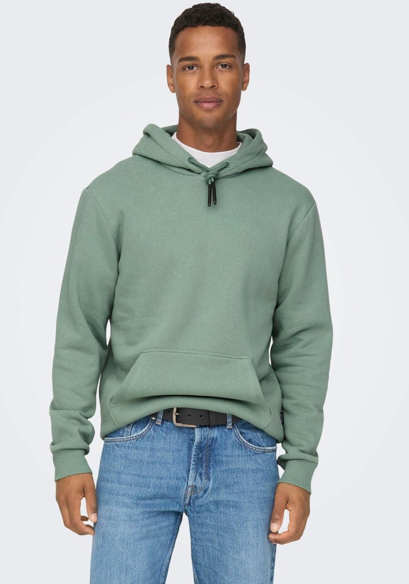ONLY & SONS Hoodie CERES LIFE HOODIE SWEAT