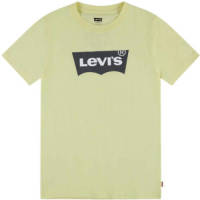 Levi's Kids T-shirt Batwing met logo groen