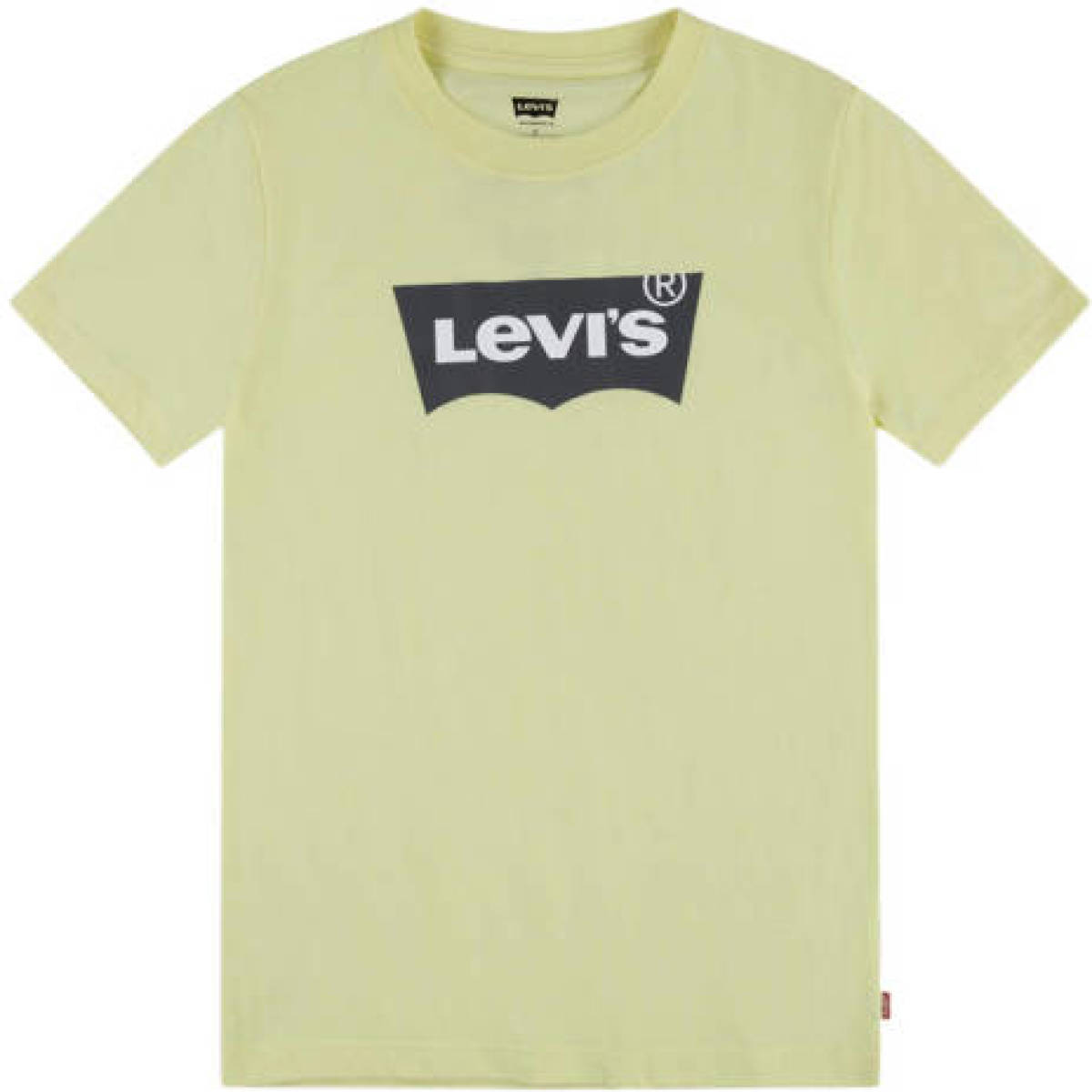 Levi's Kids T-shirt Batwing met logo groen