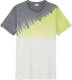 s.Oliver T-shirt wit/groen/grijs