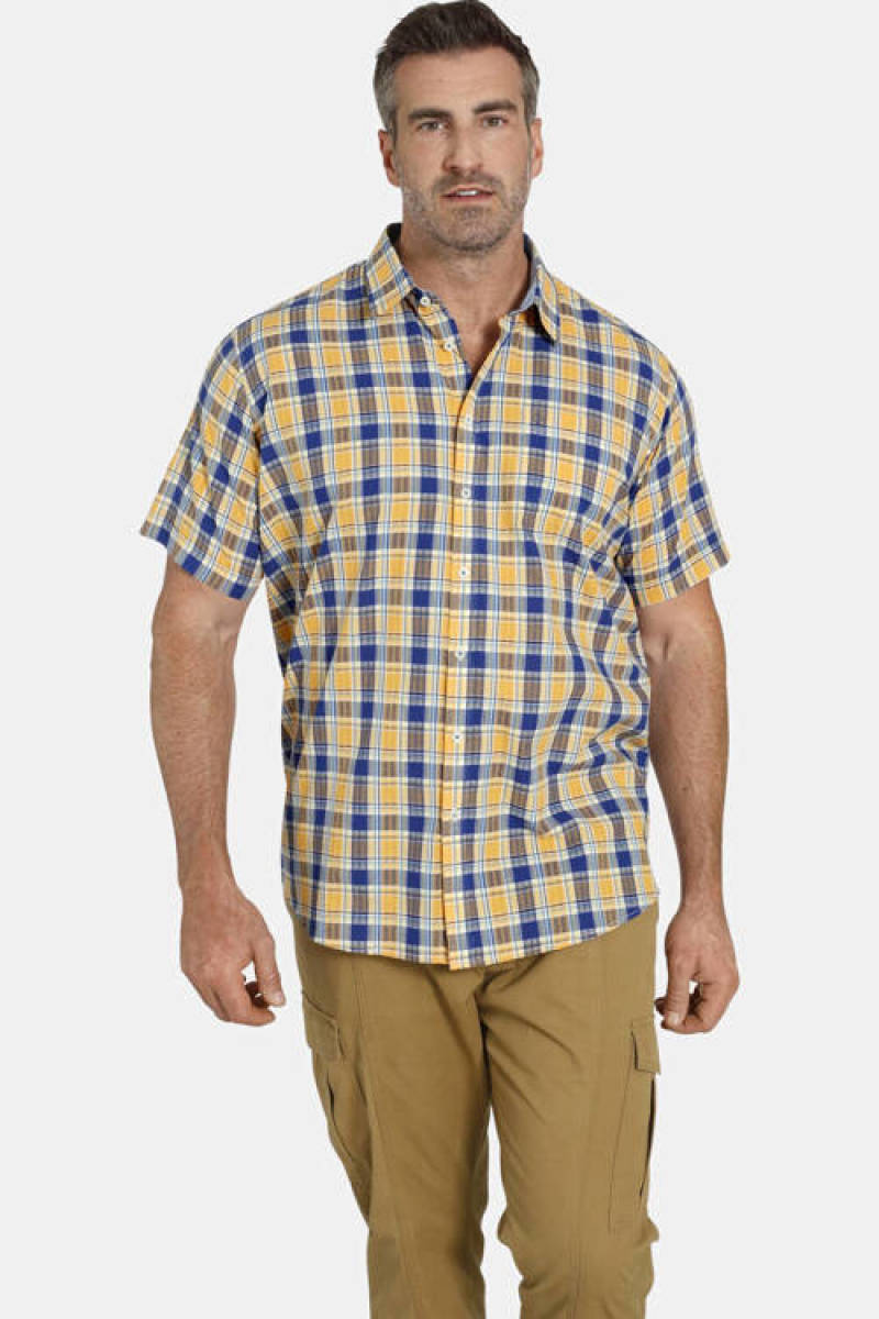 Charles Colby +FIT Collectie geruit regular fit overhemd DUKE NELO Plus Size geel