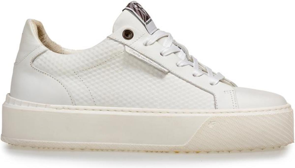 Floris van bommel SFW-10106