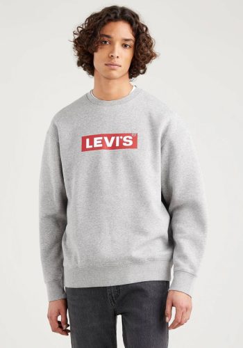 Levi's ® Sweatshirt T3 RELAXED GRAPHIC CREW