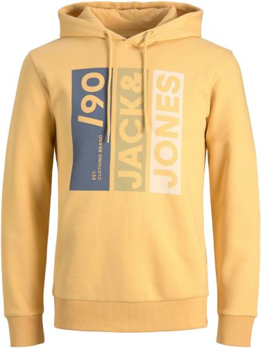 Jack & Jones Hoodie JJJIO SWEAT HOOD