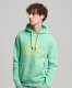 Superdry hoodie met logo 8ji